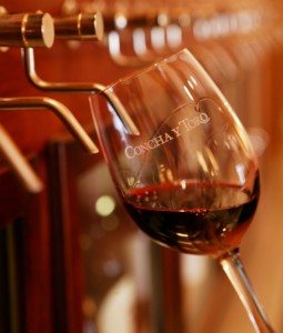 Por qué la copa es el recipiente ideal para tomar vino? - Radio 3 Cadena  Patagonia