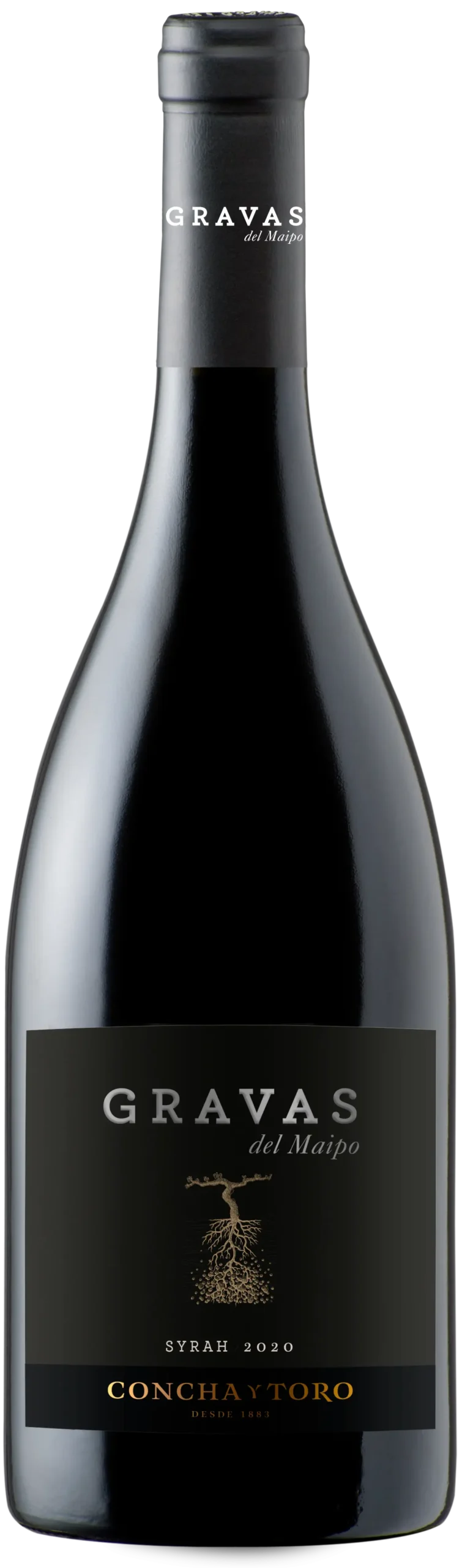 Gravas del Maipo Syrah 2020