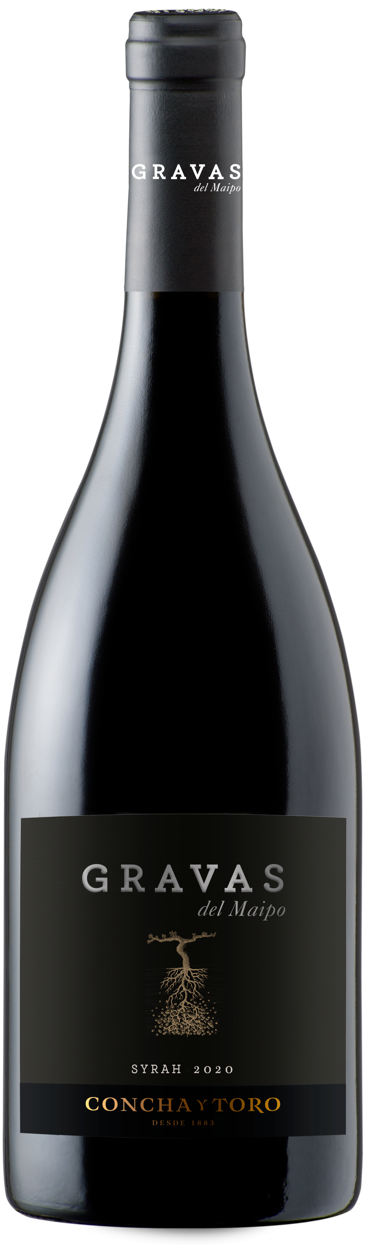 Gravas del Maipo Syrah 2020