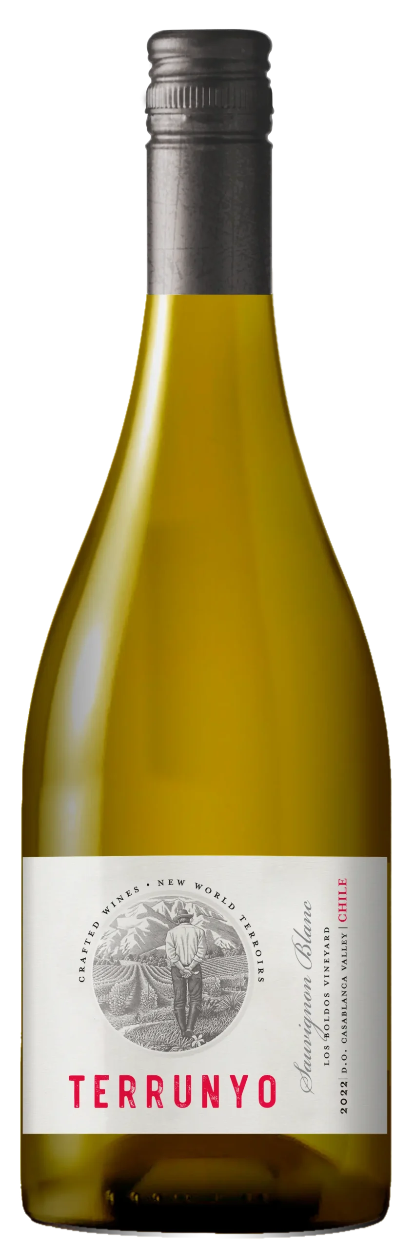 Terrunyo Sauvignon Blanc 2023