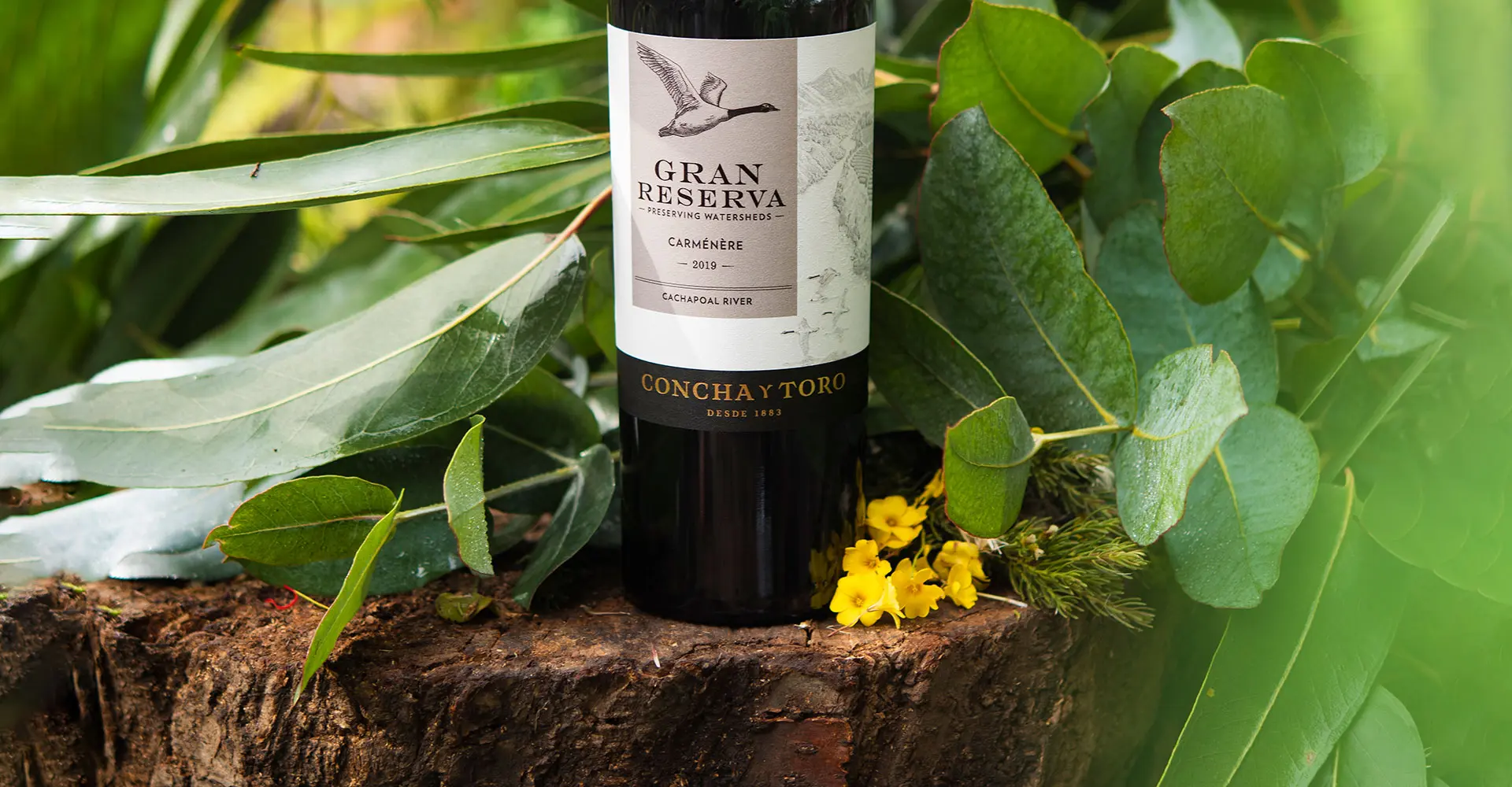 Gran Reserva Carmenere 2021