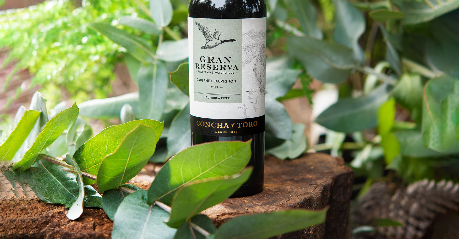 Gran Reserva Cabernet Sauvignon 2021