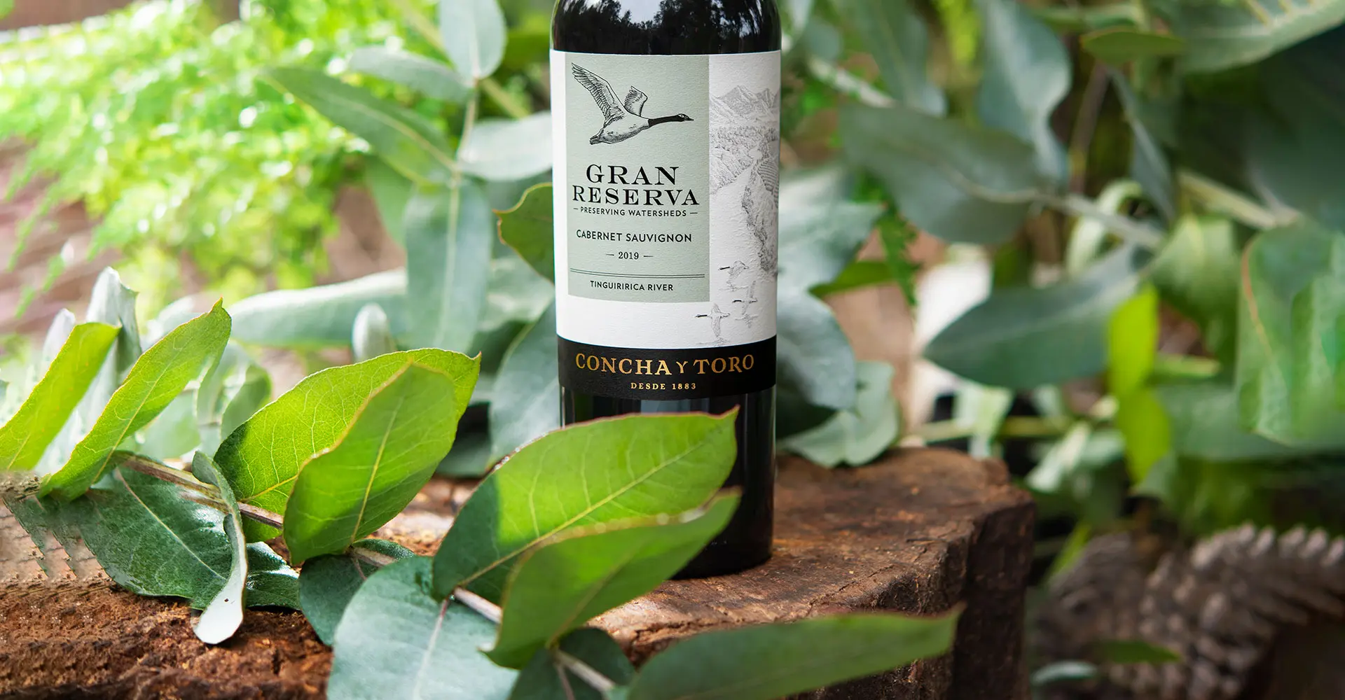 Gran Reserva Cabernet Sauvignon 2021