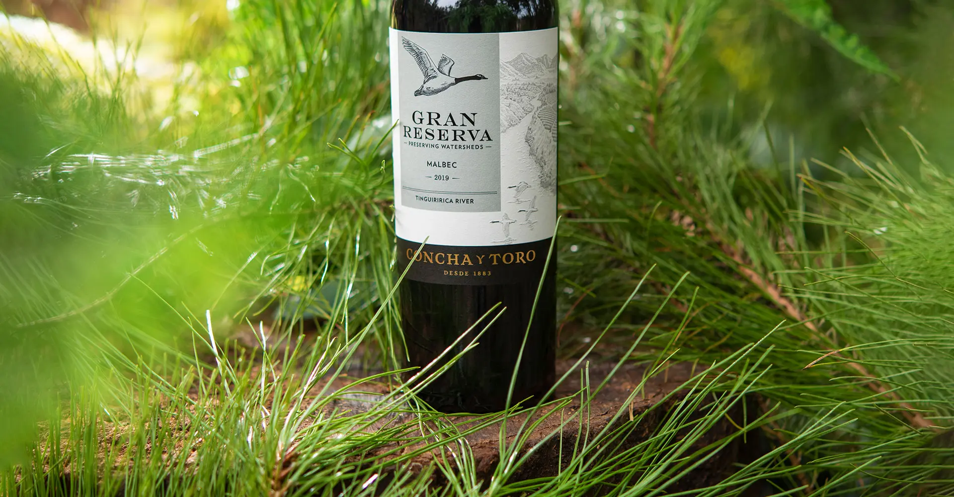 Gran Reserva Malbec 2020