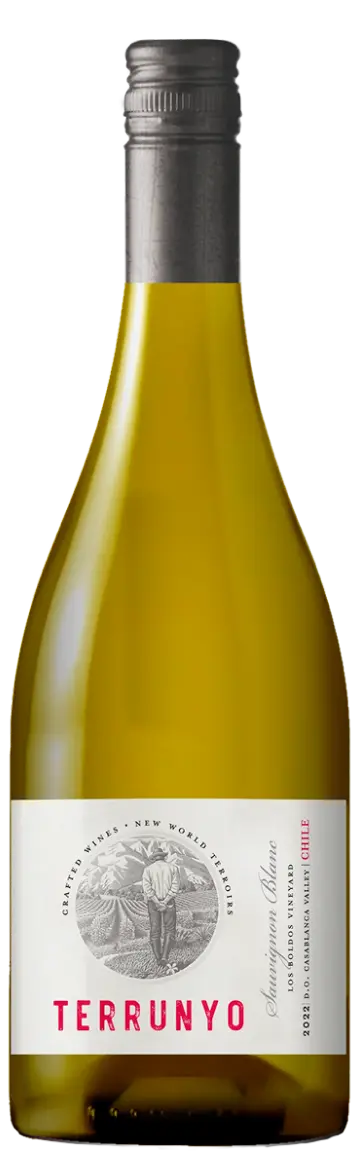 Terrunyo Sauvignon Blanc 2023