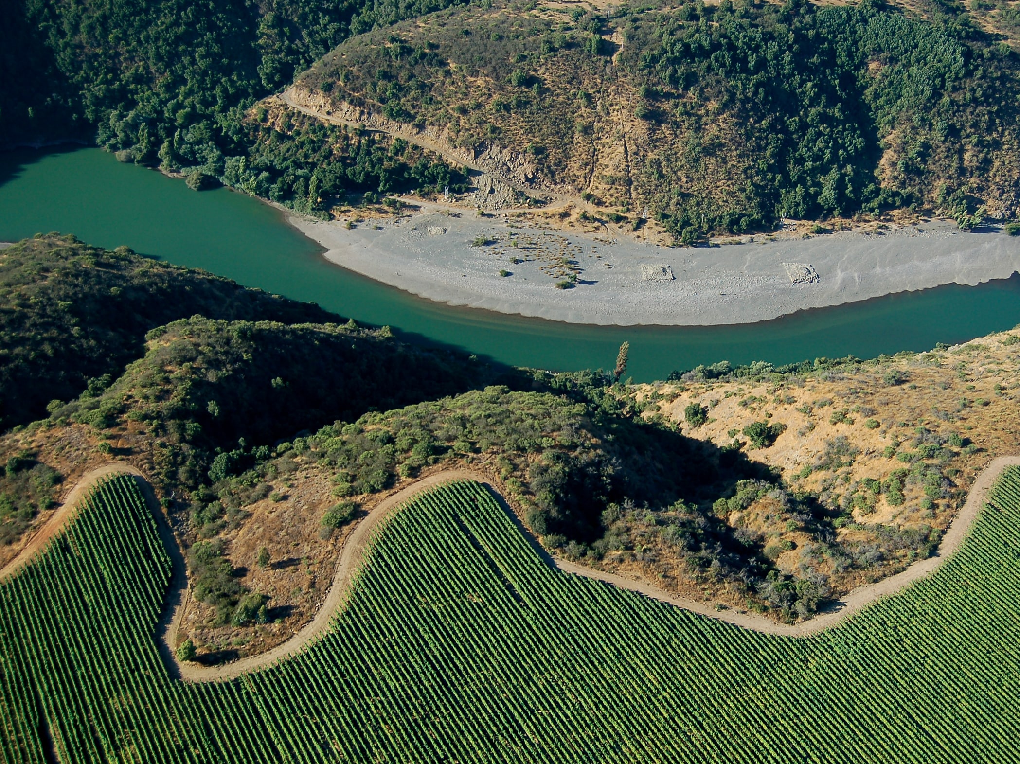 Viñedo Ucuquer y, rio y bosque nativo
