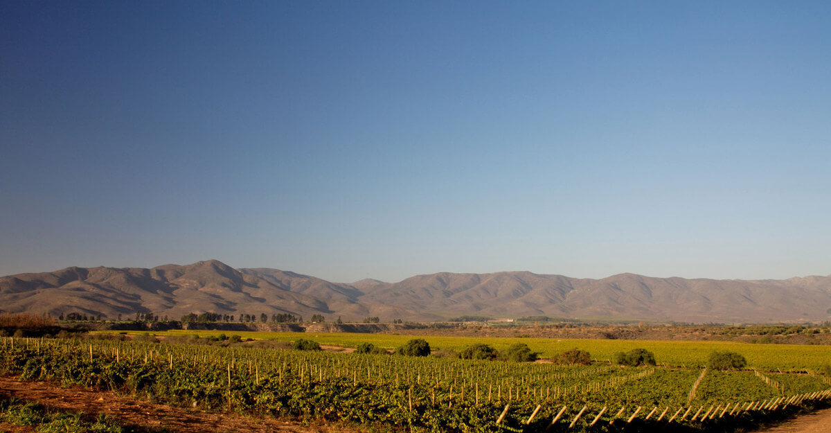 What does Denomination of Origin mean?