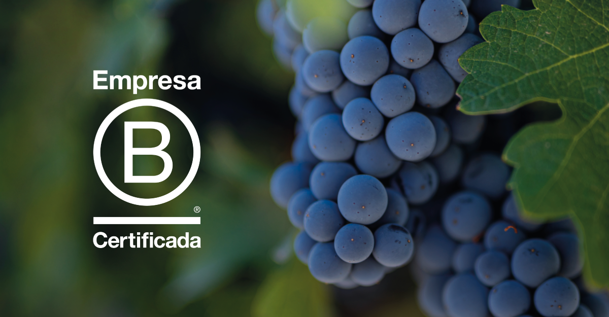 Agora a Concha y Toro é uma Empresa B!