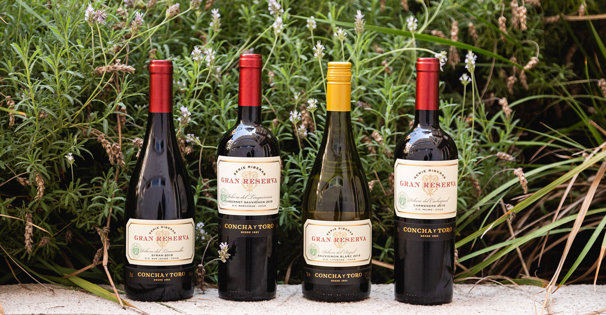 A sustentabilidade no mundo do vinho