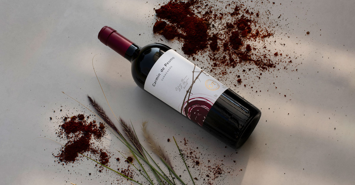 Carmín de Peumo apontado como um dos “100 melhores vinho de 2021”