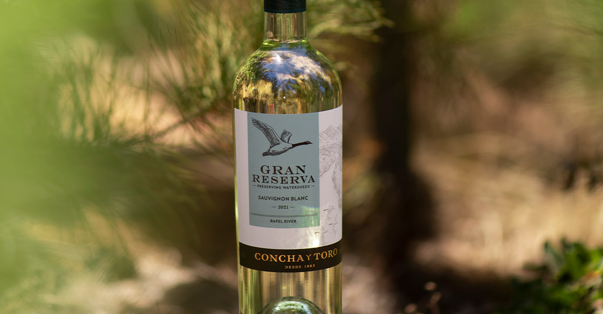 As tendências do vinho para 2022