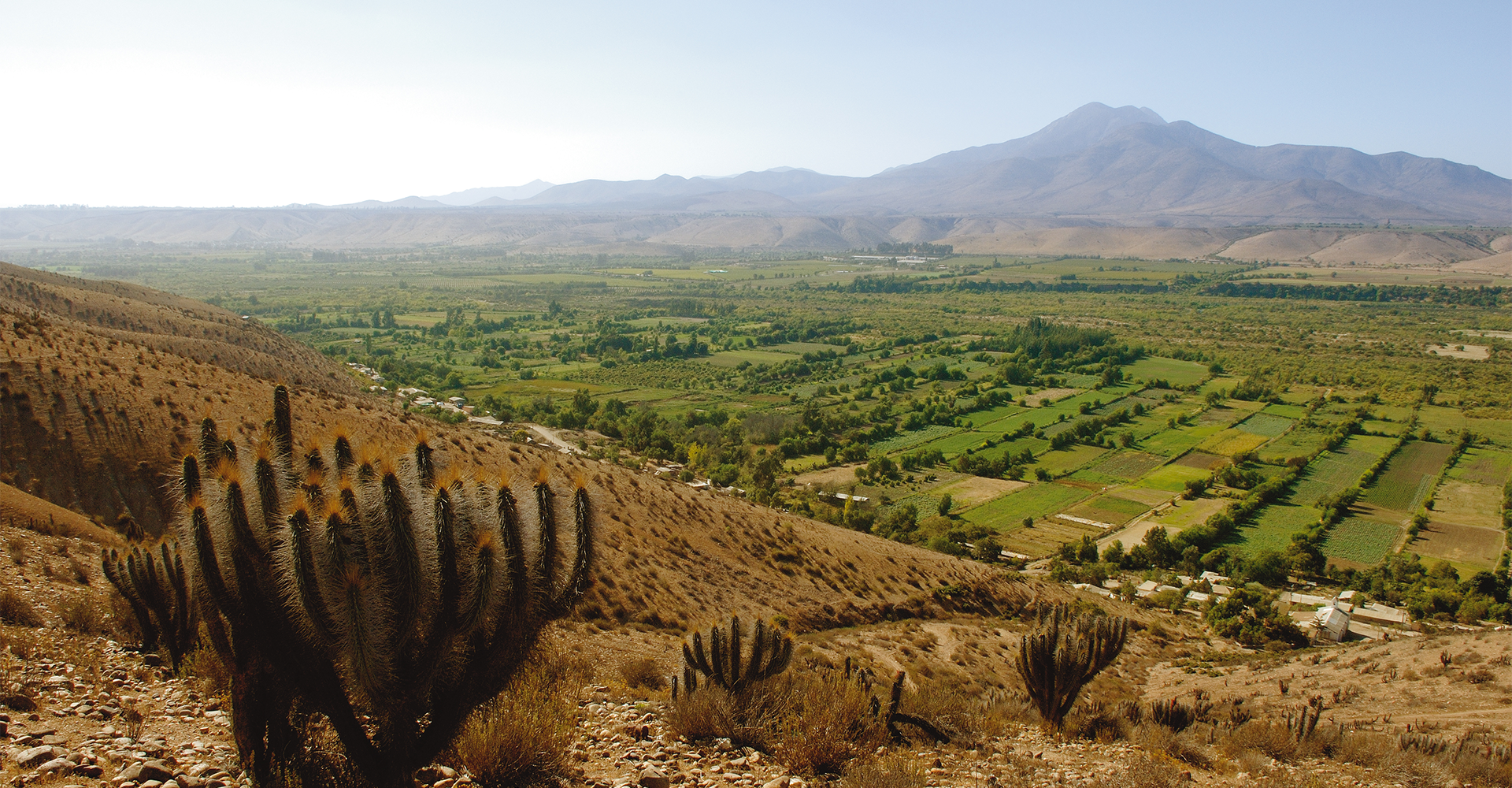 A extrema beleza do vale do Limarí