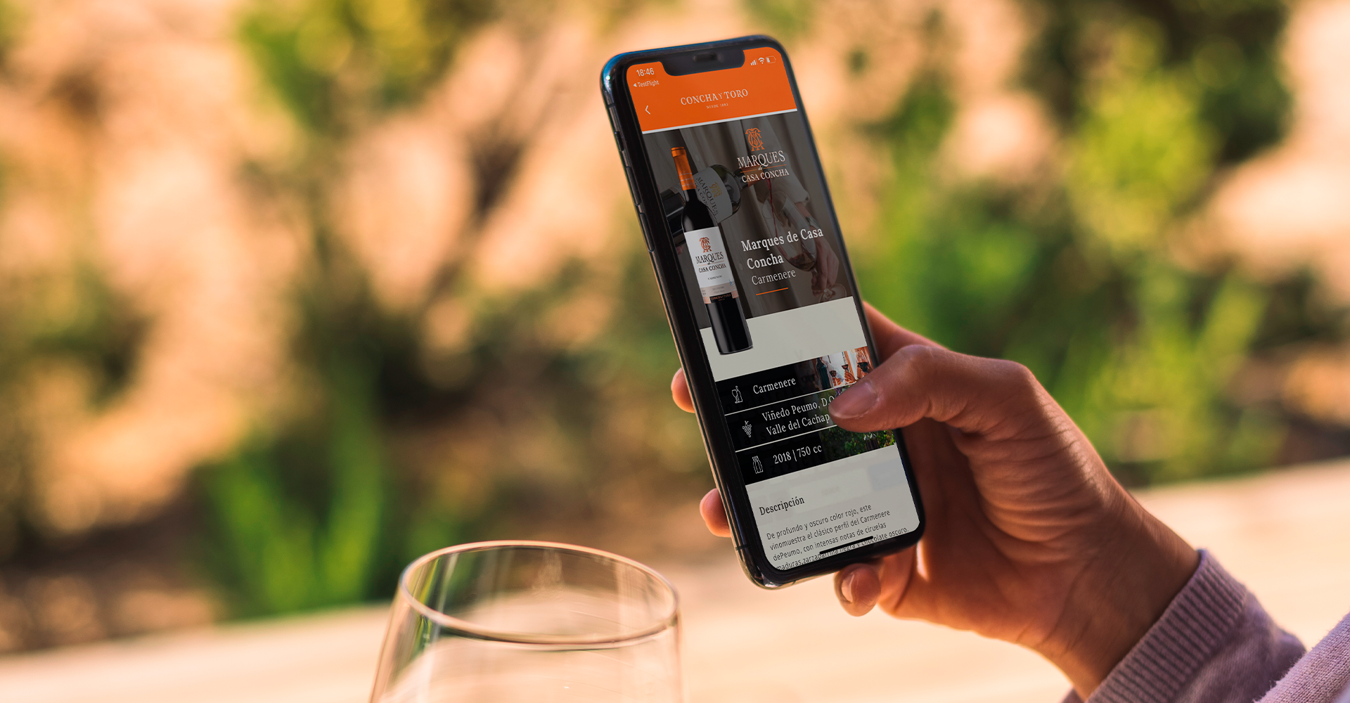 Concha y Toro Wine & Pairings: um must para os amantes do vinho