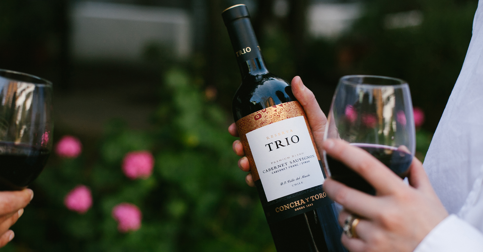 36 vinos del portfolio de Concha y Toro son oficialmente veganos