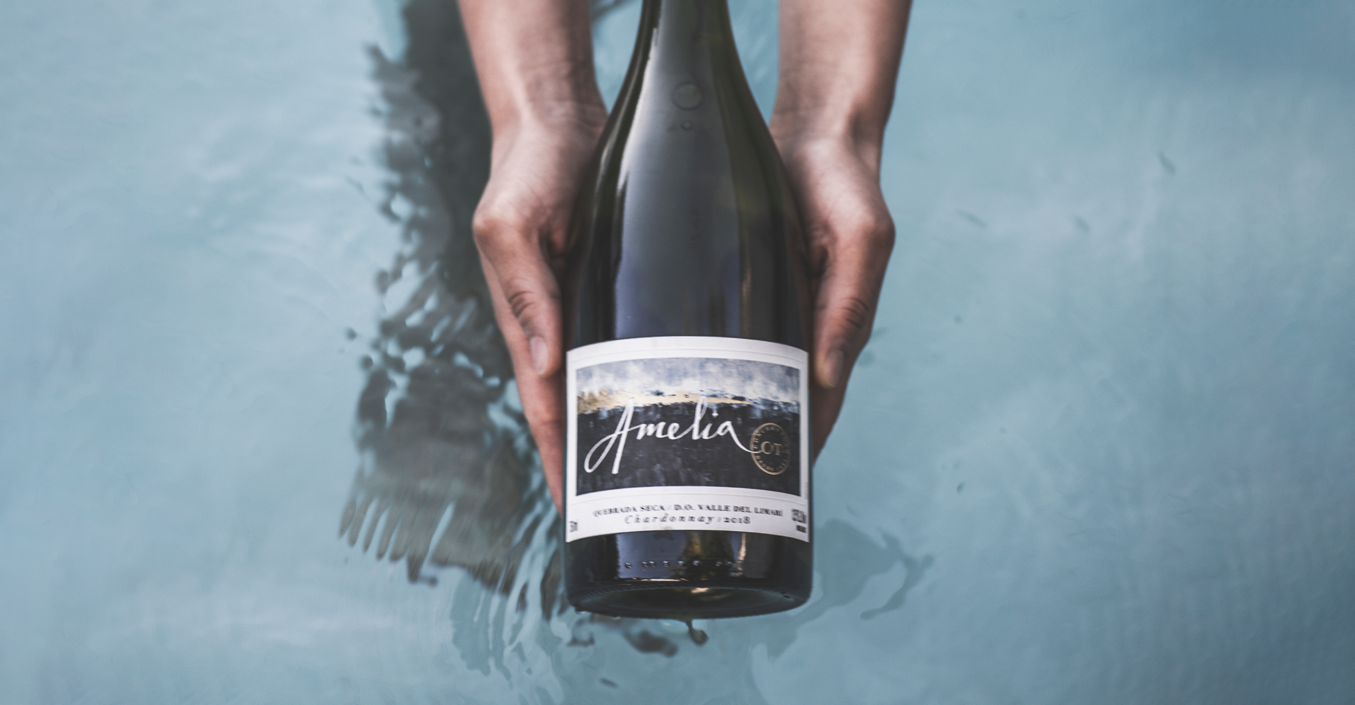 Excelentes pontuações para os vinhos da Concha y Toro na Vinous