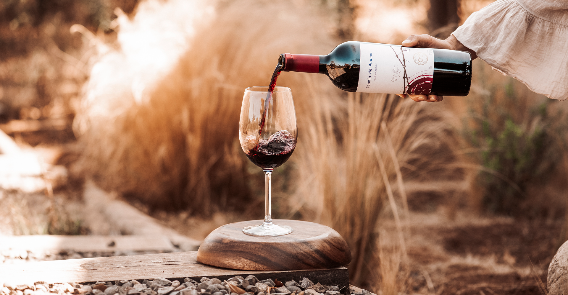 O que são taninos e qual é a função deles no vinho?