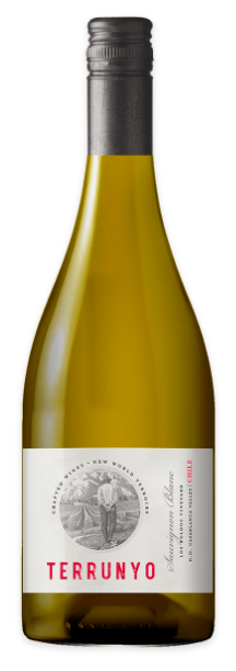 Terrunyo Sauvignon Blanc 2007