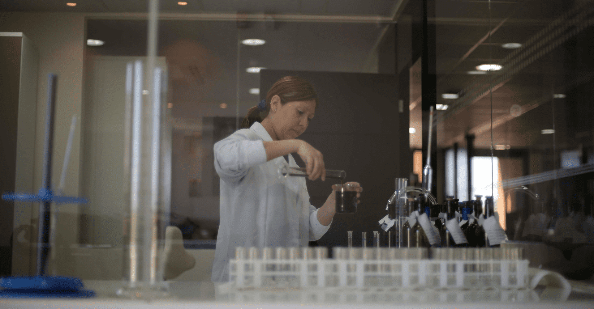 CII Concha y Toro: criando os vinhedos do futuro