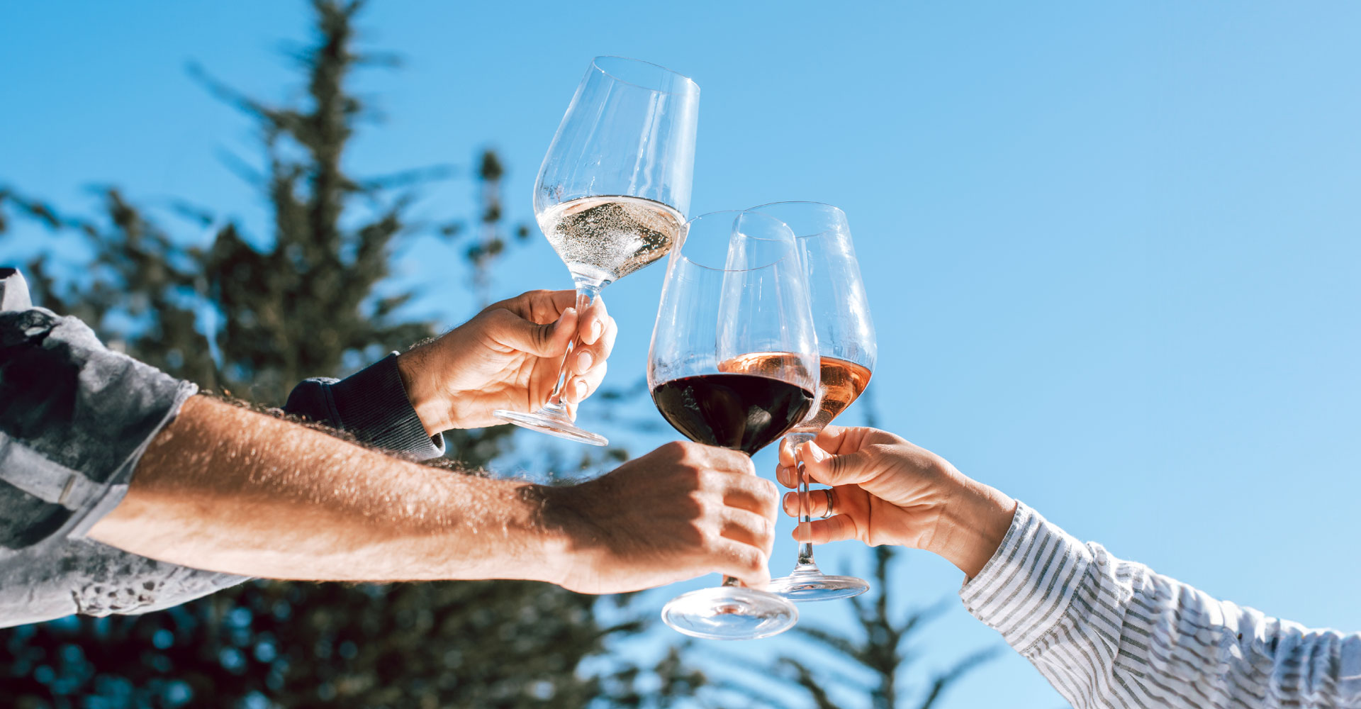 O que quer dizer um vinho suculento?