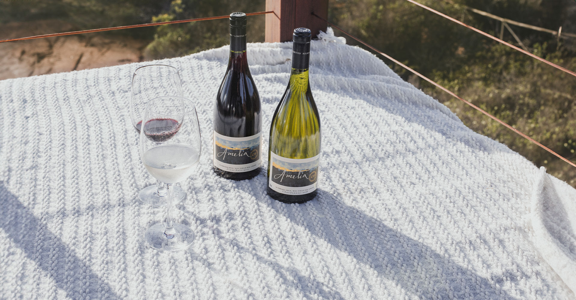 Patrick Schmitt MW entrega excelentes pontuações para a nossa linha Amelia