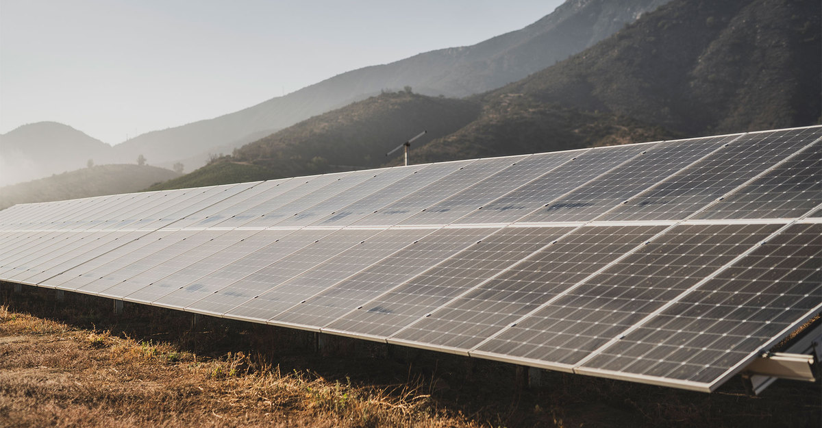Viña Concha y Toro anticipa en 10 años su meta de cero emisiones netas