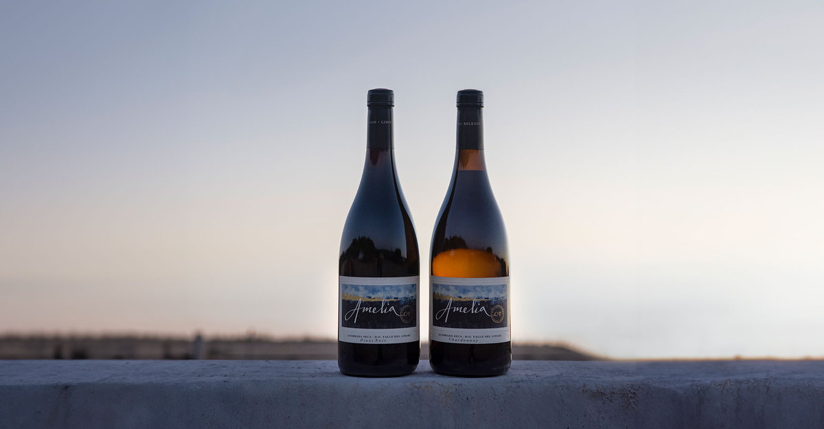 Amelia obtém a pontuação mais alta da sua história na Wine Spectator