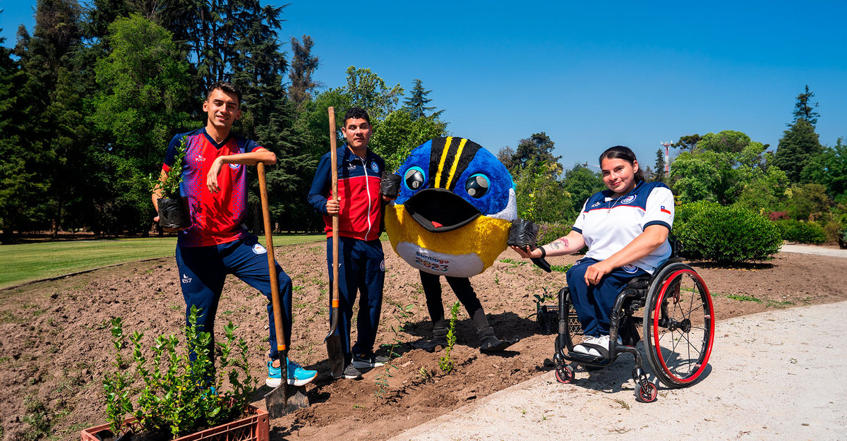 Casillero del Diablo plantará uma árvore nativa por cada atleta paralímpico dos Jogos Santiago 2023