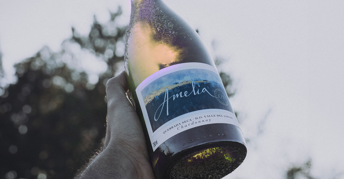 James Suckling entrega grandes pontuações para Concha y Toro