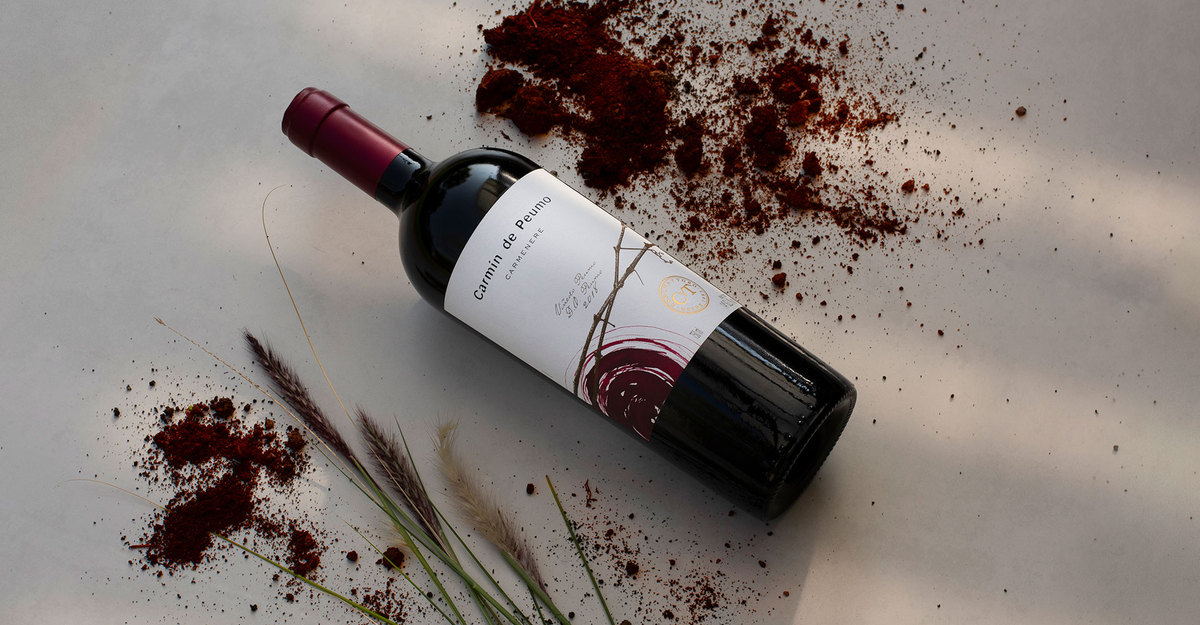 Tim Atkin entrega excelentes pontuações à Concha y Toro