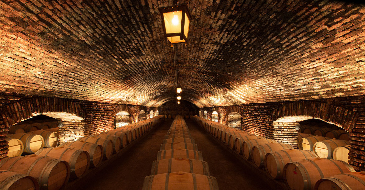 Concha y Toro é novamente uma das Marcas de Vinho mais Admiradas do Mundo