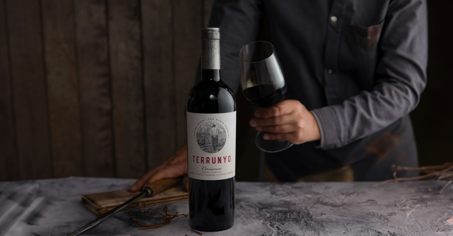 Terrunyo Carmenere deslumbra con 95 puntos y Medalla de Oro