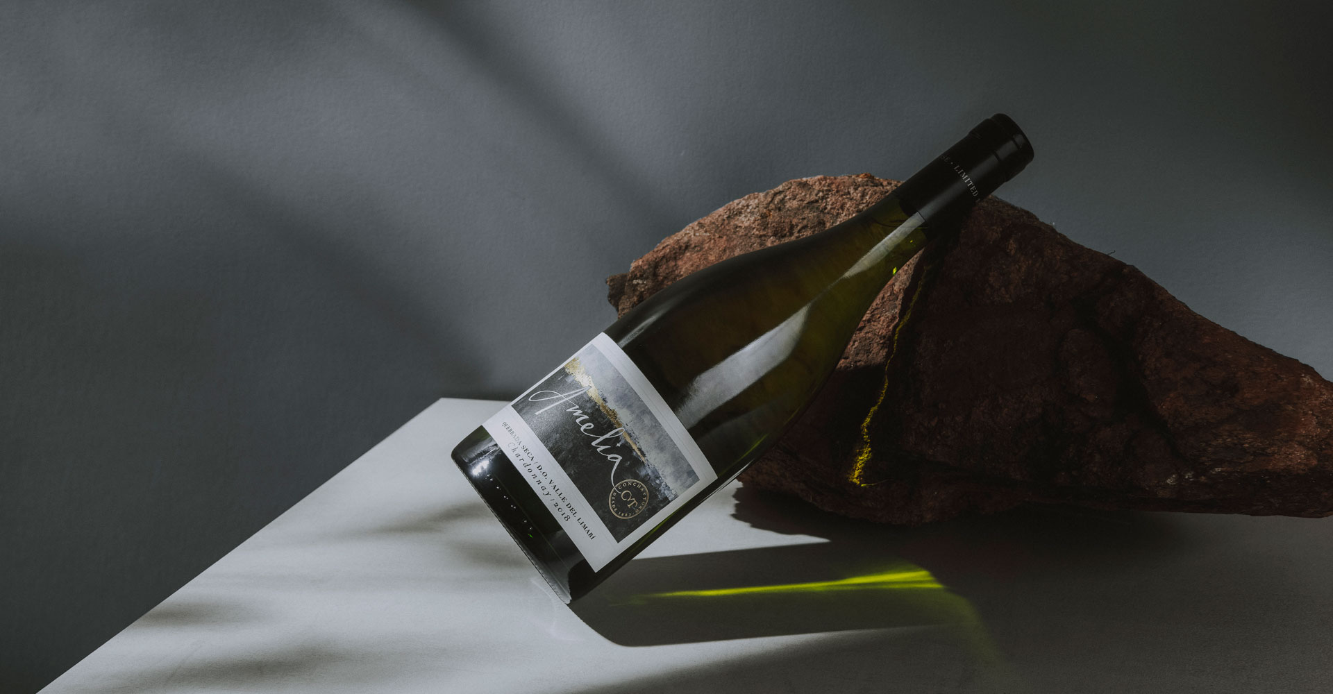 Amelia Chardonnay se posiciona entre los mejores blancos de Chile