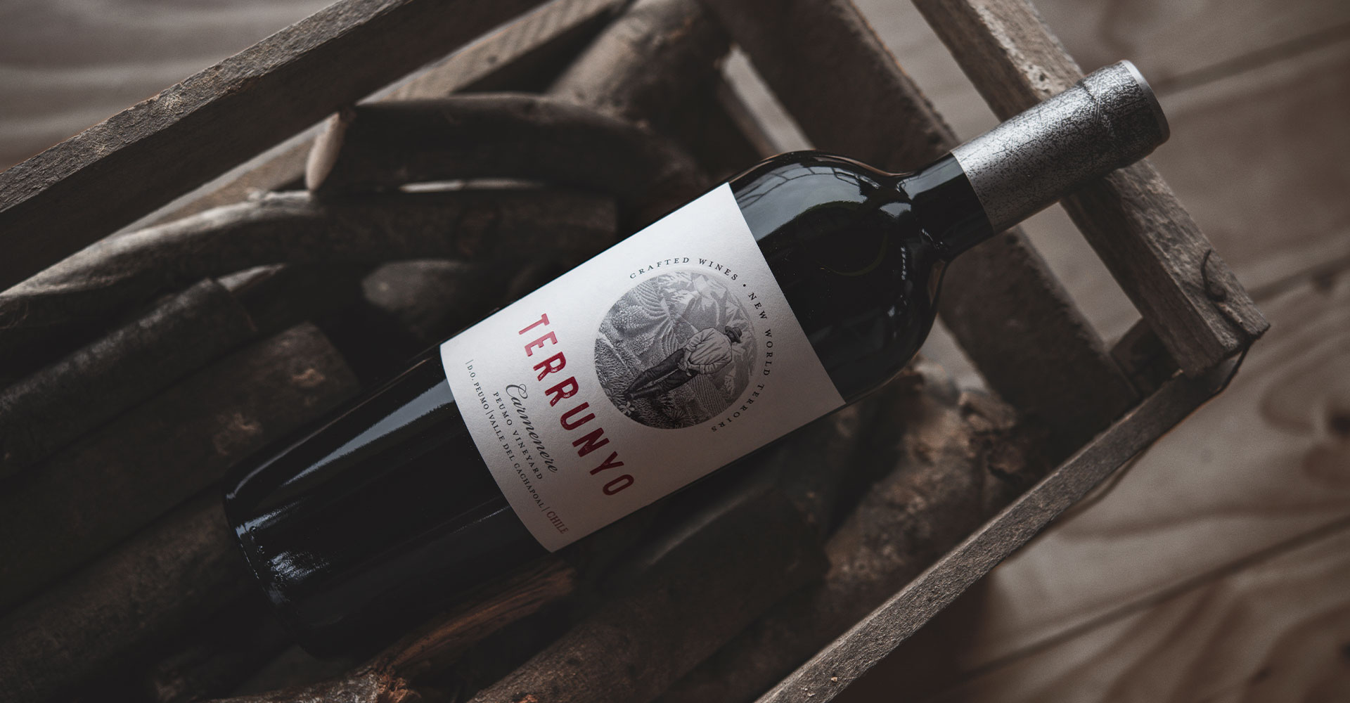 Decanter Highlights Terrunyo Carmenere 2021 with 95 Points and Gold Medal
