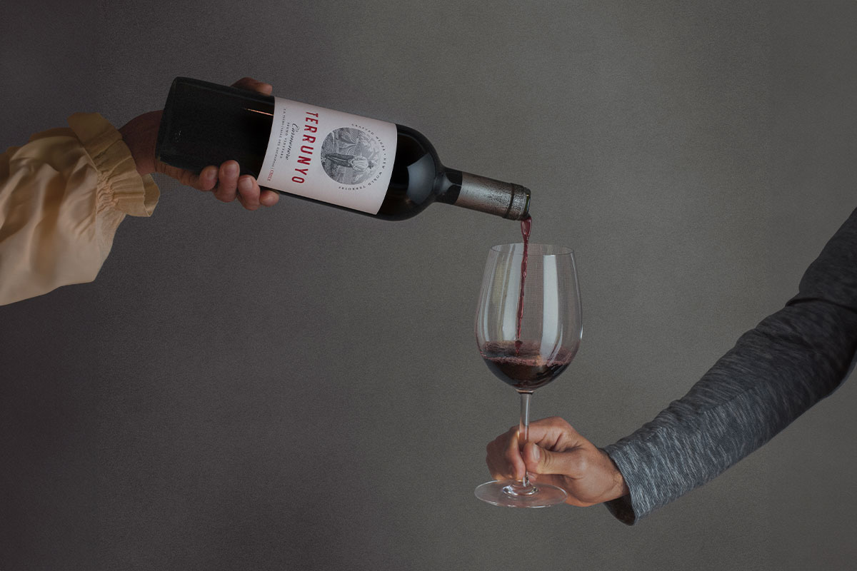 Decanter destaca con 95 puntos y Medalla de Oro a Terrunyo Carmenere