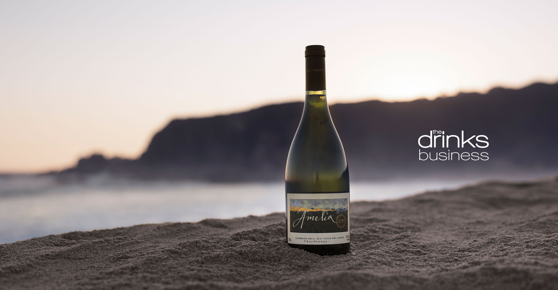 Amelia Chardonnay 2023 achieves an impressive 96-point rating in the 2024 Chile Report published by The Drinks Business