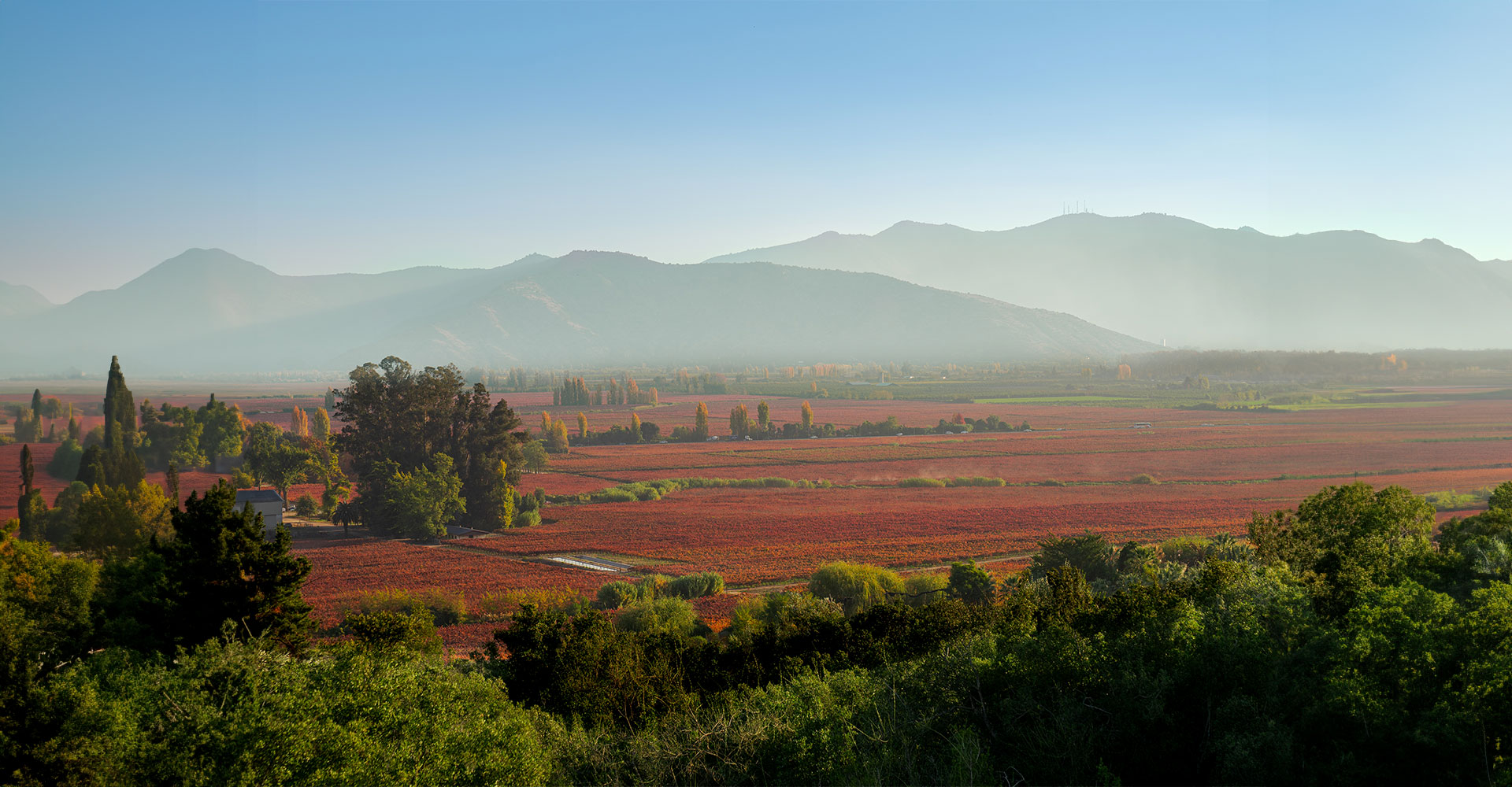 Concha y Toro Winery: Guardians of Carmenere’s History in Chile