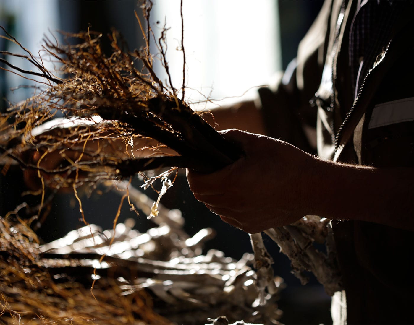 trabajador con parra