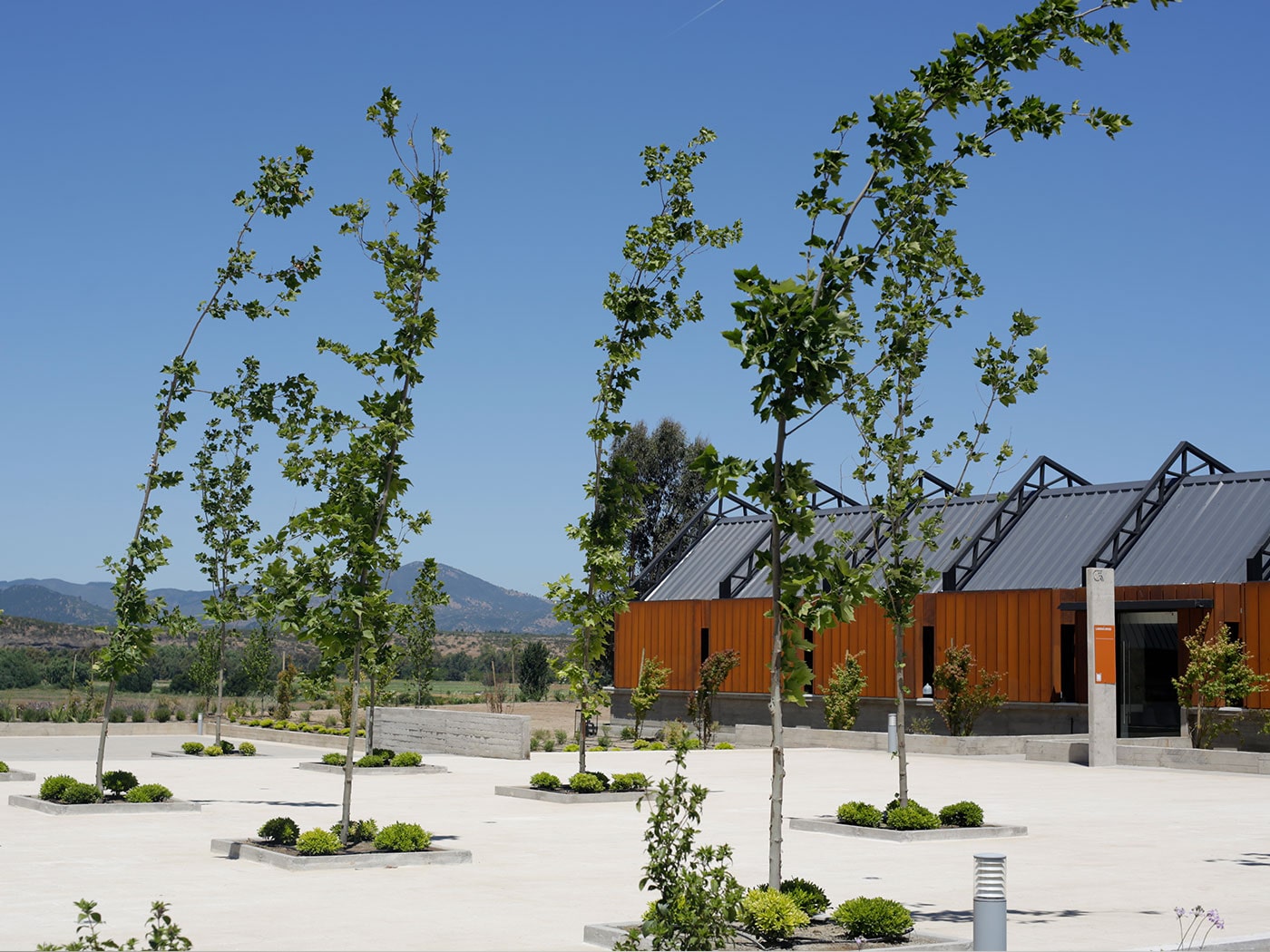 Centro de innovación Concha y Toro