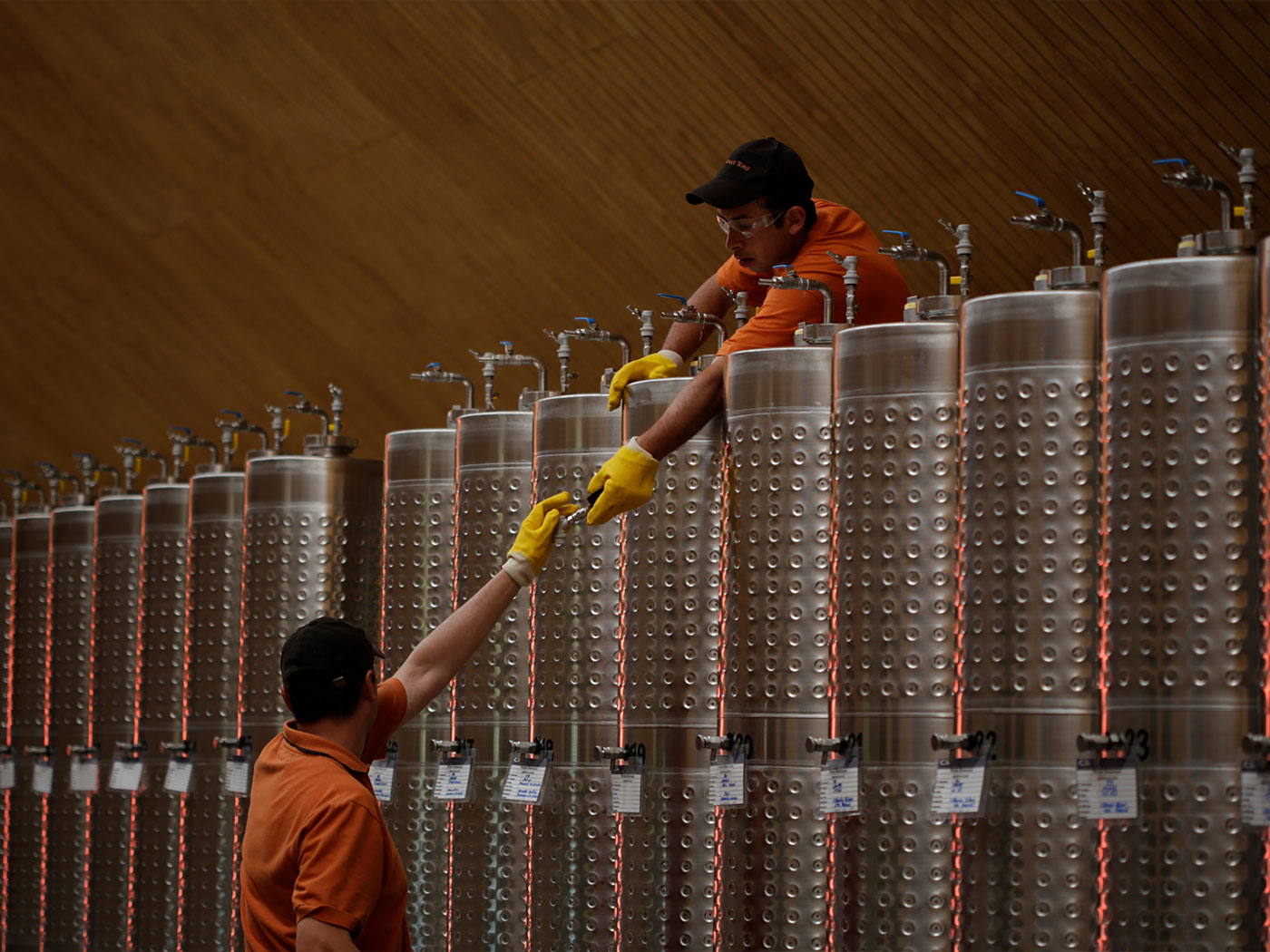 Centro de innovación Concha y Toro