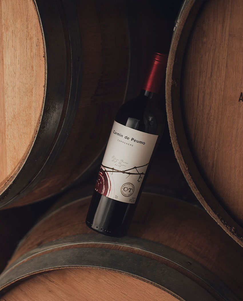 Carmín de Peumo, excelencia