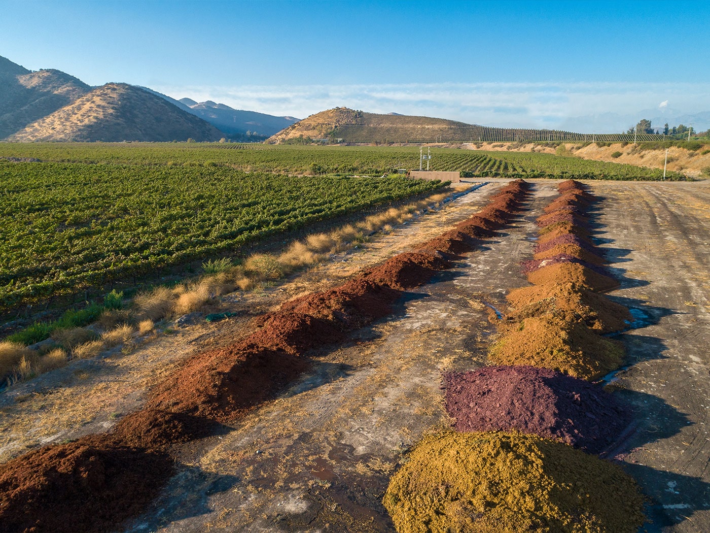 Compost de residuos orgánicos