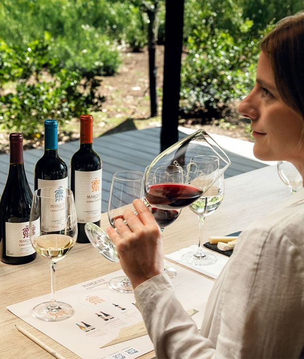 Experiencia de cata Marques de casa concha