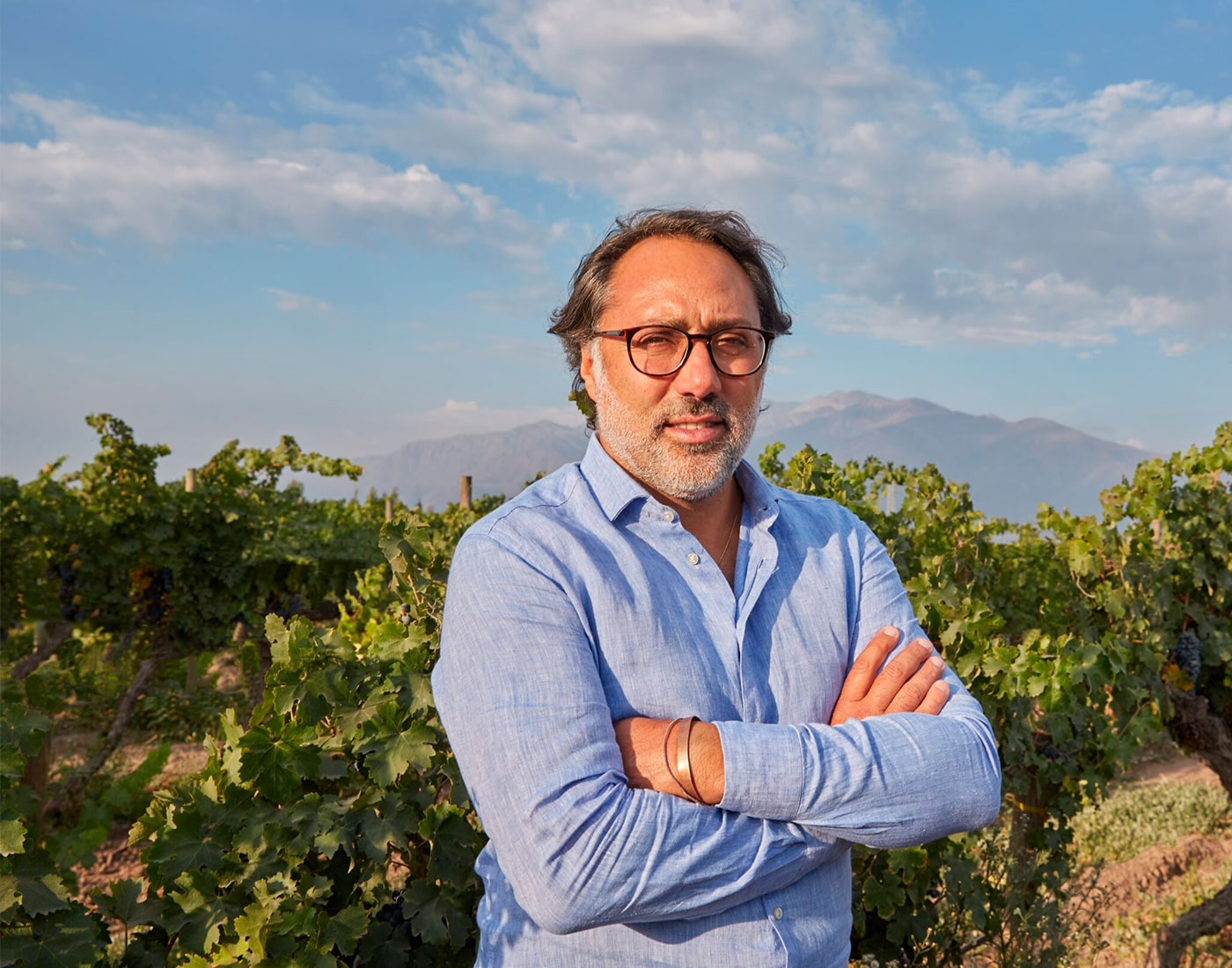 Marceo papa, enólogo en el viñedo 