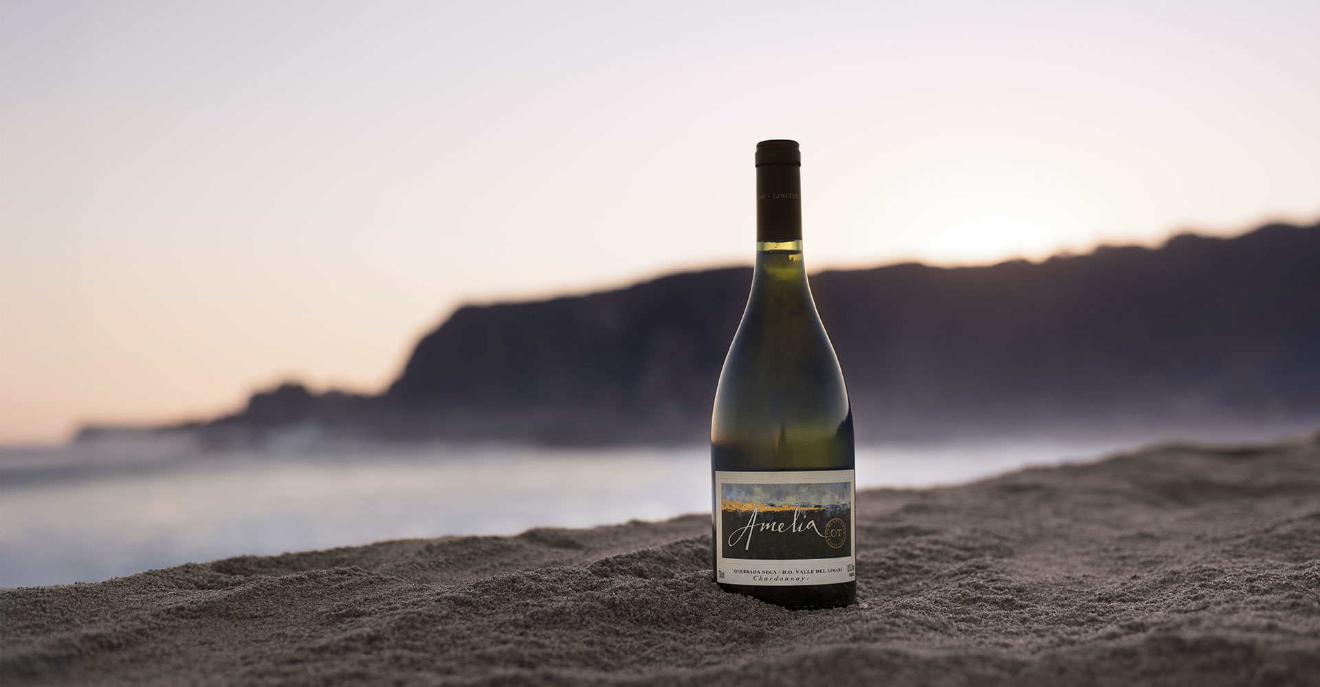 Viña Concha y Toro recebe pontuações de destaque no relatório Chile 2025 de Joaquín Hidalgo