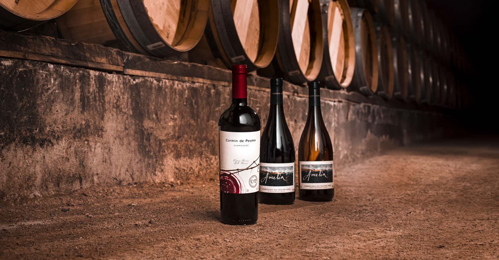 Outstanding scores and recognitions for our wines by Guía Descorchados 2026