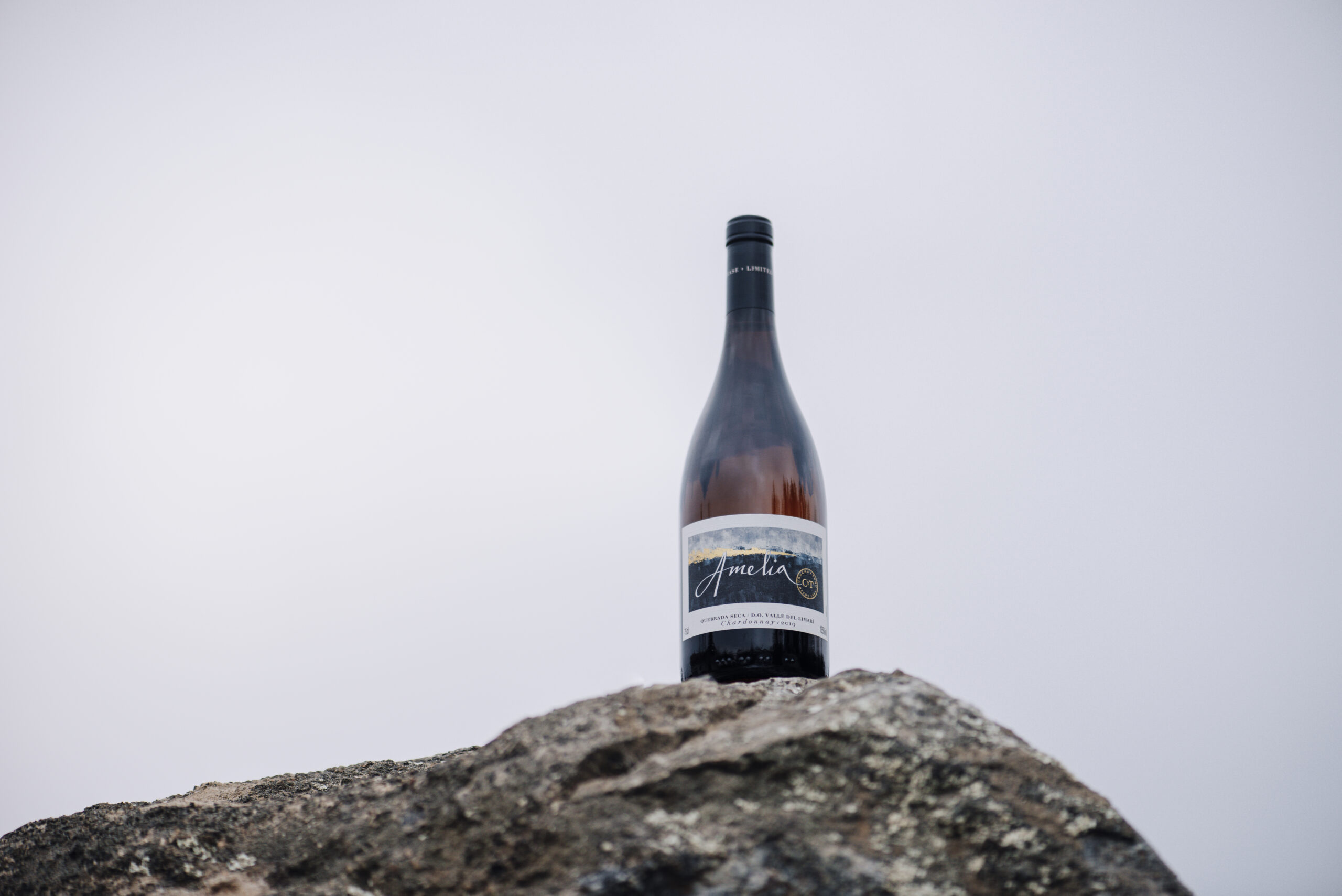 Amelia Chardonnay mantiene su liderazgo como el Mejor Chardonnay de Chile