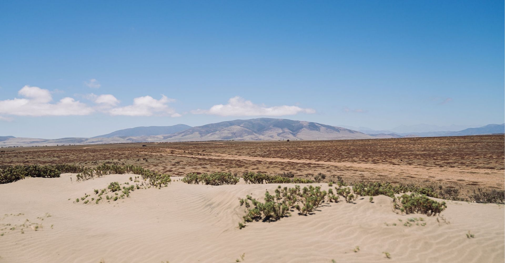Viña Concha y Toro lanza Viña Amelia y asume un nuevo desafío: potenciar una viña dedicada exclusivamente a la producción de Chardonnay y Pinot Noir