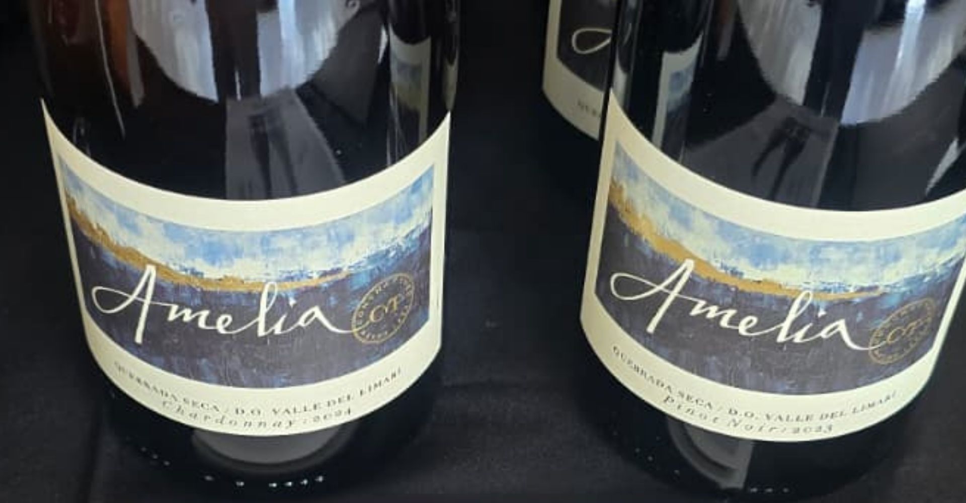 Viña Amelia participa en Sip of South America Nueva York 2026