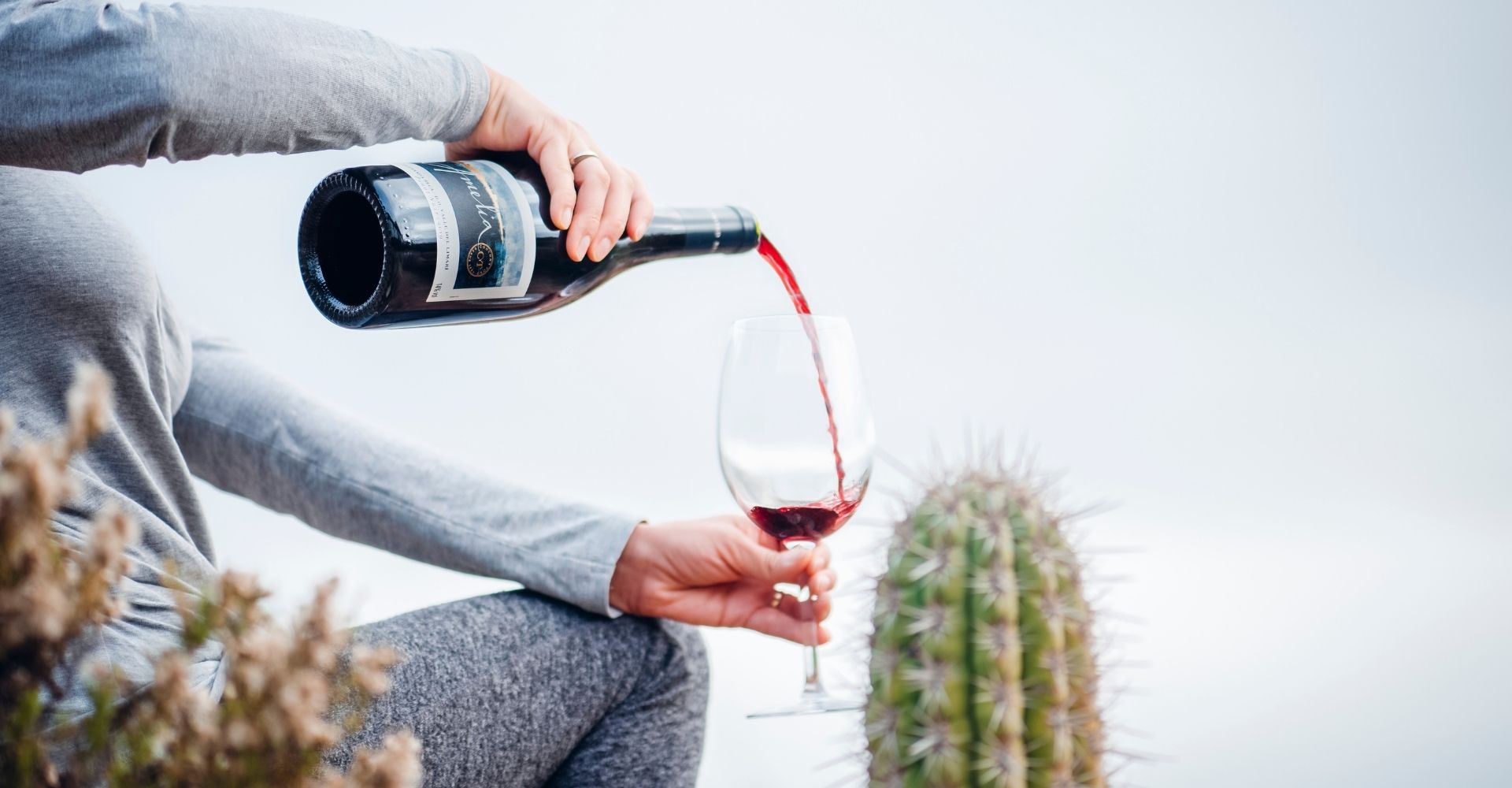 Amelia Pinot Noir 2024 receives outstanding recognition at DWWA 2026 6