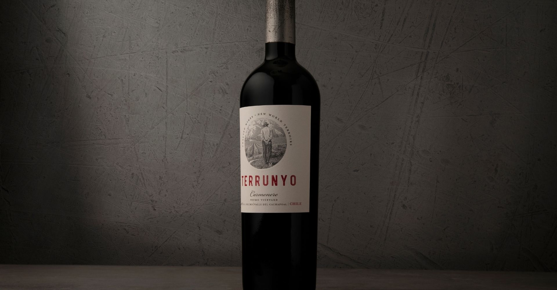 Terrunyo Carmenere sobresale en importante concurso internacional